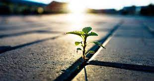 How Resilient Are You?