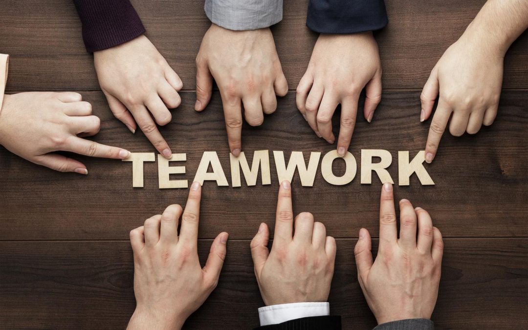 Building a High Performing Team