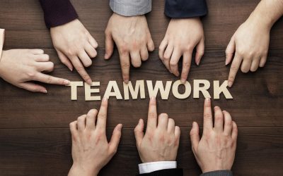 Building a High Performing Team