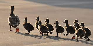 Leaders Don’t Need Followers